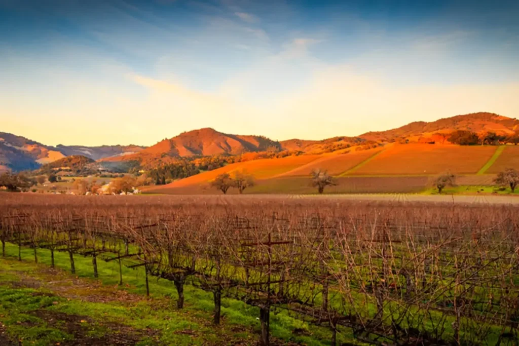 sonoma valley