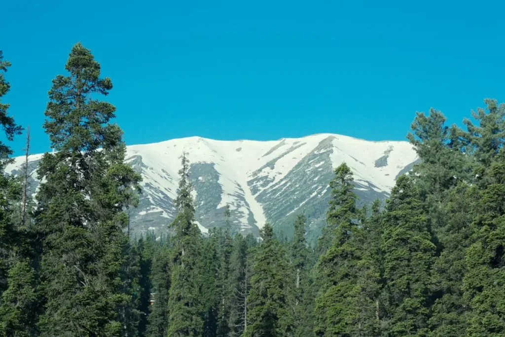 gulmarg biosphere reserve