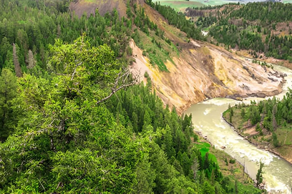 yellowstone adventure