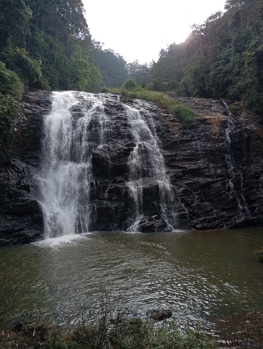 Abbey Falls Coorg Entry Fee 2026: Timings, Hanging Bridge, Rules and How to Reach Abbey Falls in low flow, thin white streams over a wide dark rock face into a calm brown pool, with forest on both sides