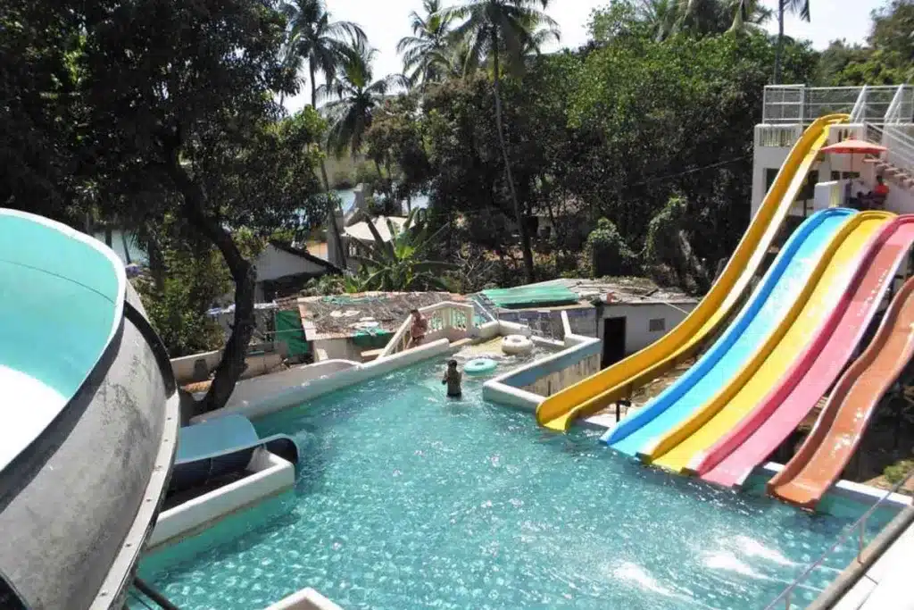 blue whale water park