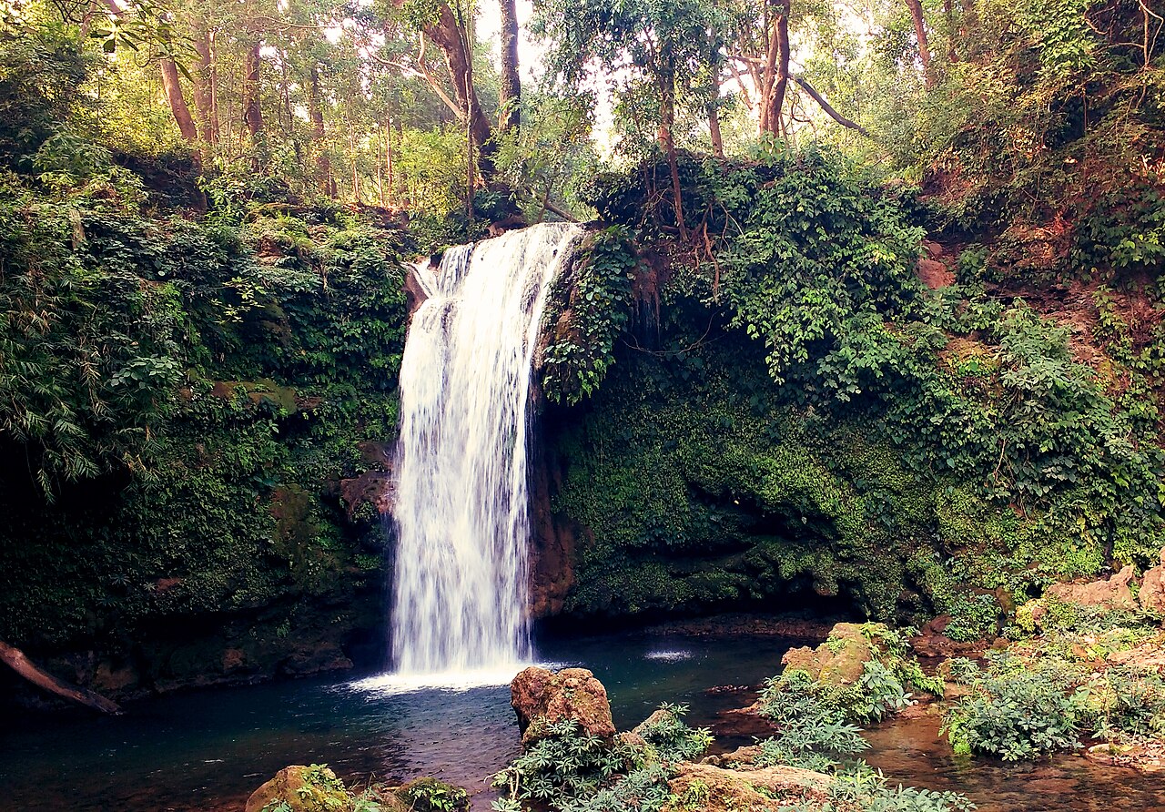 Corbett Falls pouring into a green pool in dense forest in the Kaladhungi range near Ramnagar