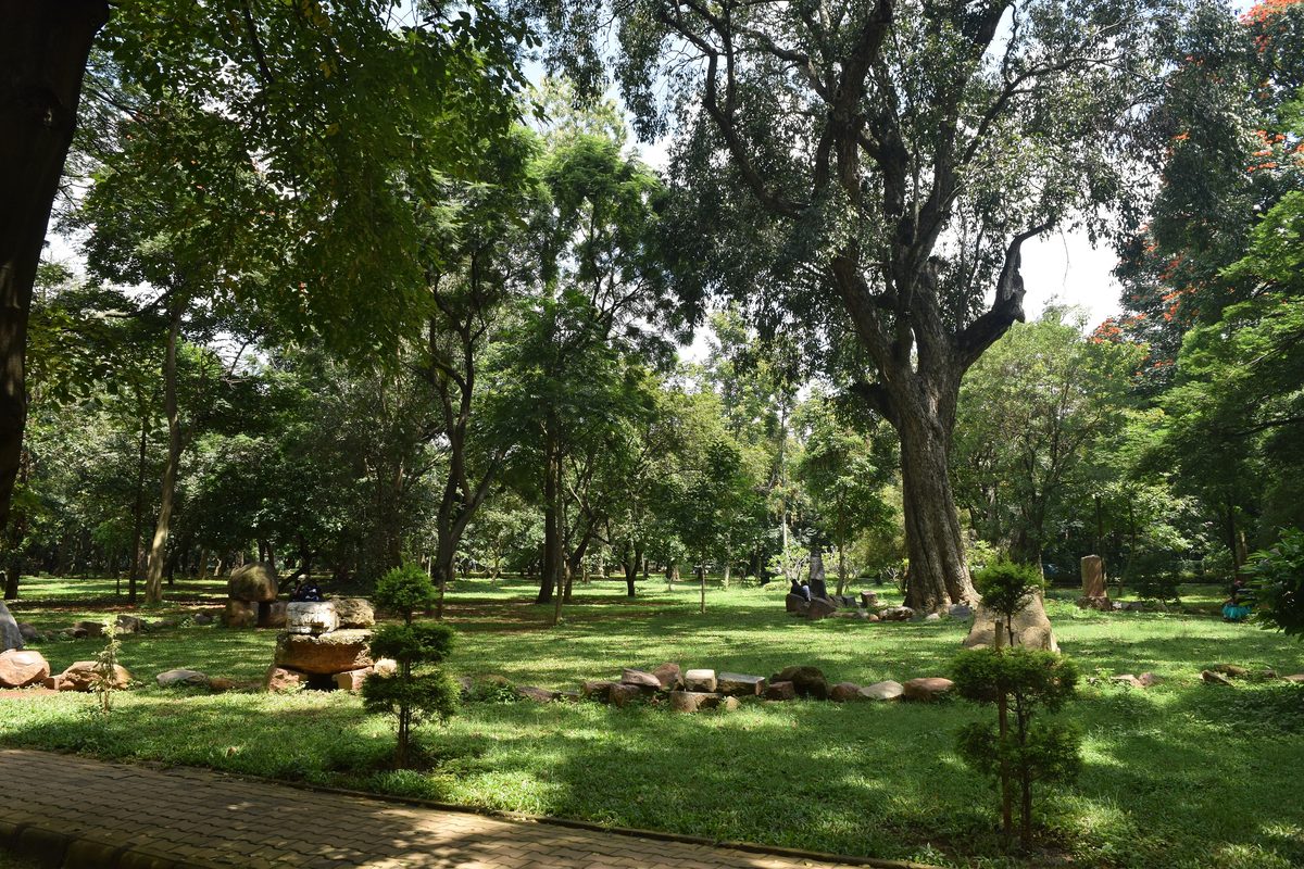 Cubbon Park Timings, Entry Fee and Ticket Prices for the Aquarium, Museum and Toy Train Tall shady trees over a green lawn and footpath in Cubbon Park, Bengaluru