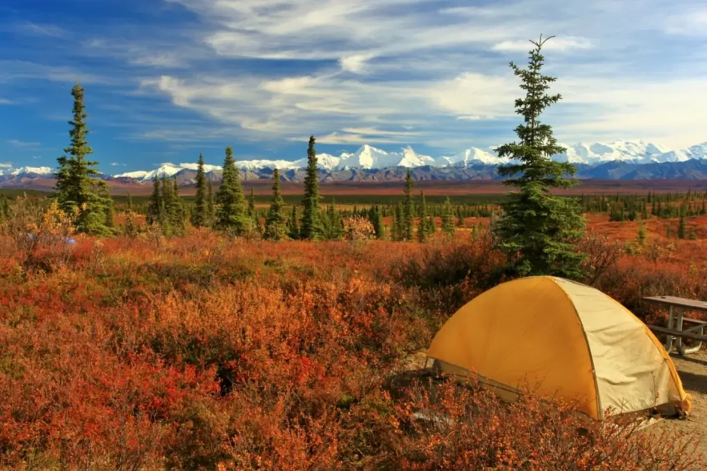 Denali camping