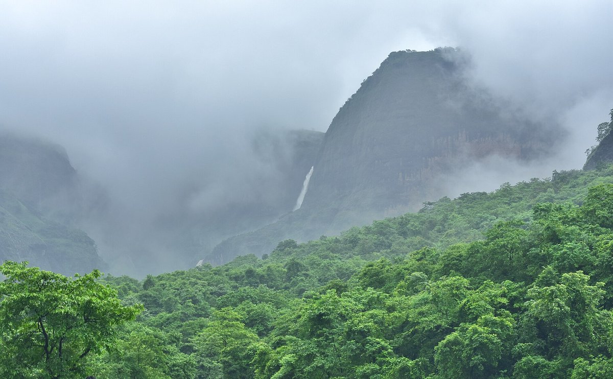 Distant view of the thin white Devkund waterfall dropping down a misty basalt cliff above thick green forest during the monsoon
