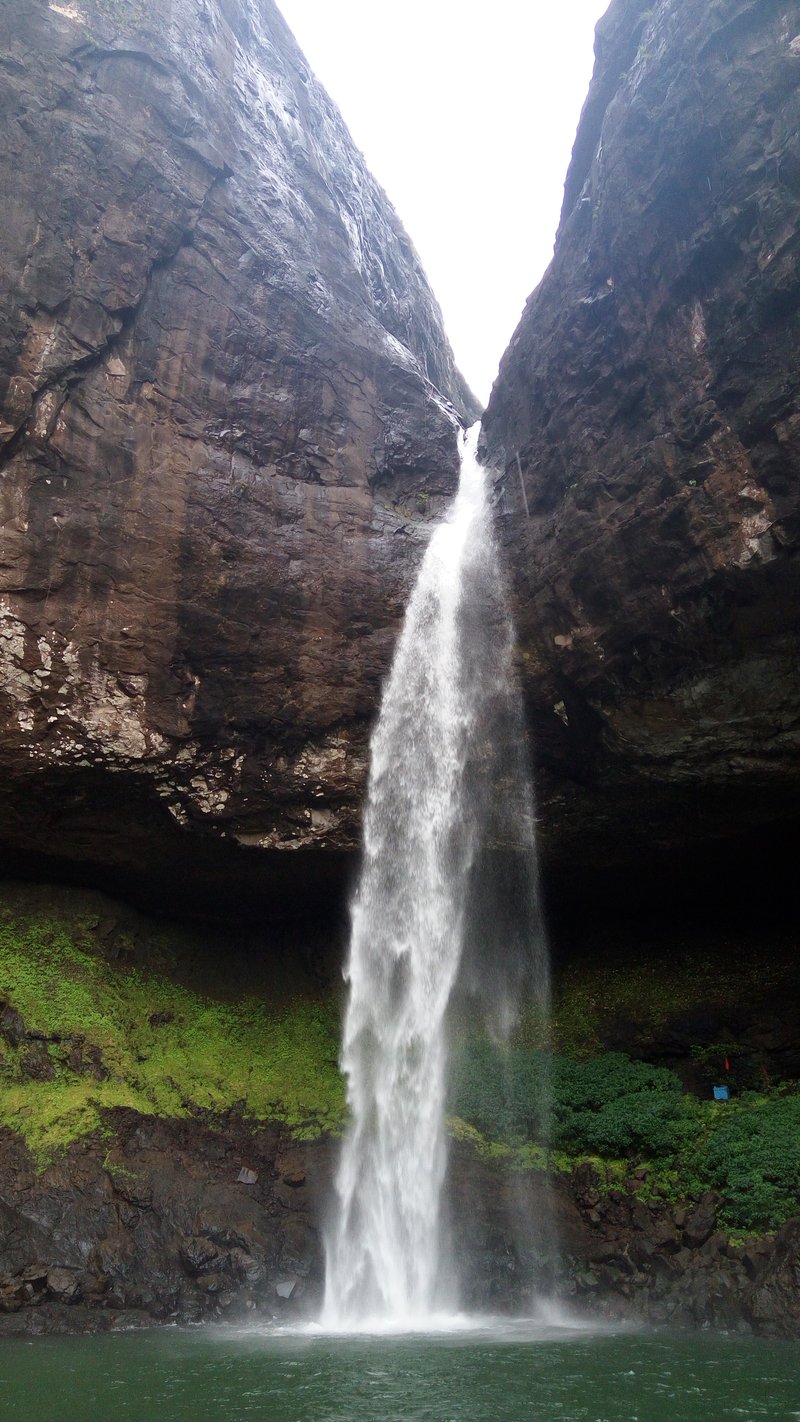Devkund waterfall dropping from a narrow gap between dark basalt cliffs into a green plunge pool, with moss and bushes at the base