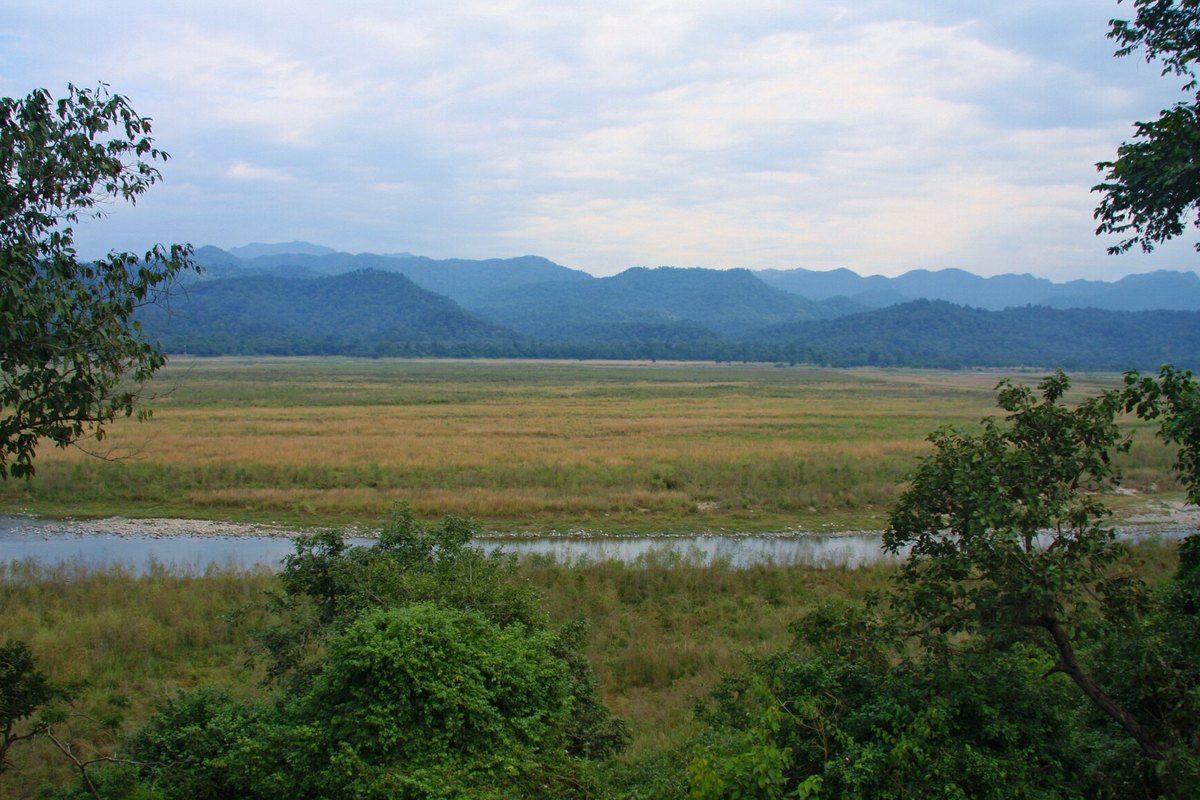 Wide Dhikala grassland in Corbett National Park with the Ramganga river, green trees in front and blue foothills behind
