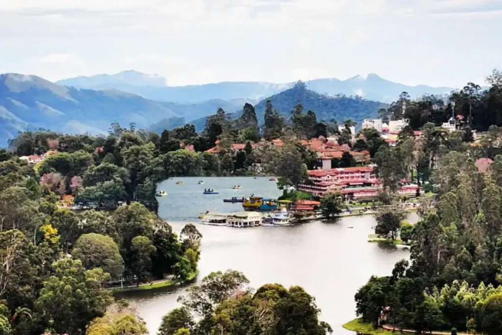 Best Hill Stations in South India: A Complete Guide for Indian Travelers Kodaikanal: Princess of Hill Stations