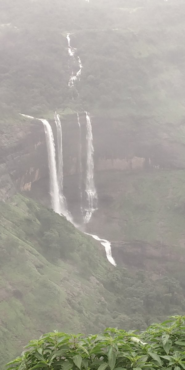 Kune Falls, Lonavala: How to Reach, Entry and Best Time Tall tiered waterfall falling in white strands down a dark cliff into a misty green valley during the monsoon, with leaves in the foreground