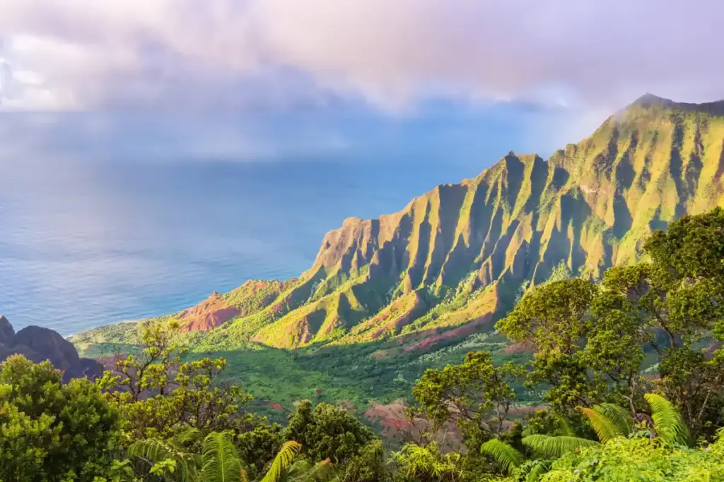 Kauai Trip Planning Tips: Must-See Trails & Beaches lush greenery along koke'e state park's hiking trails