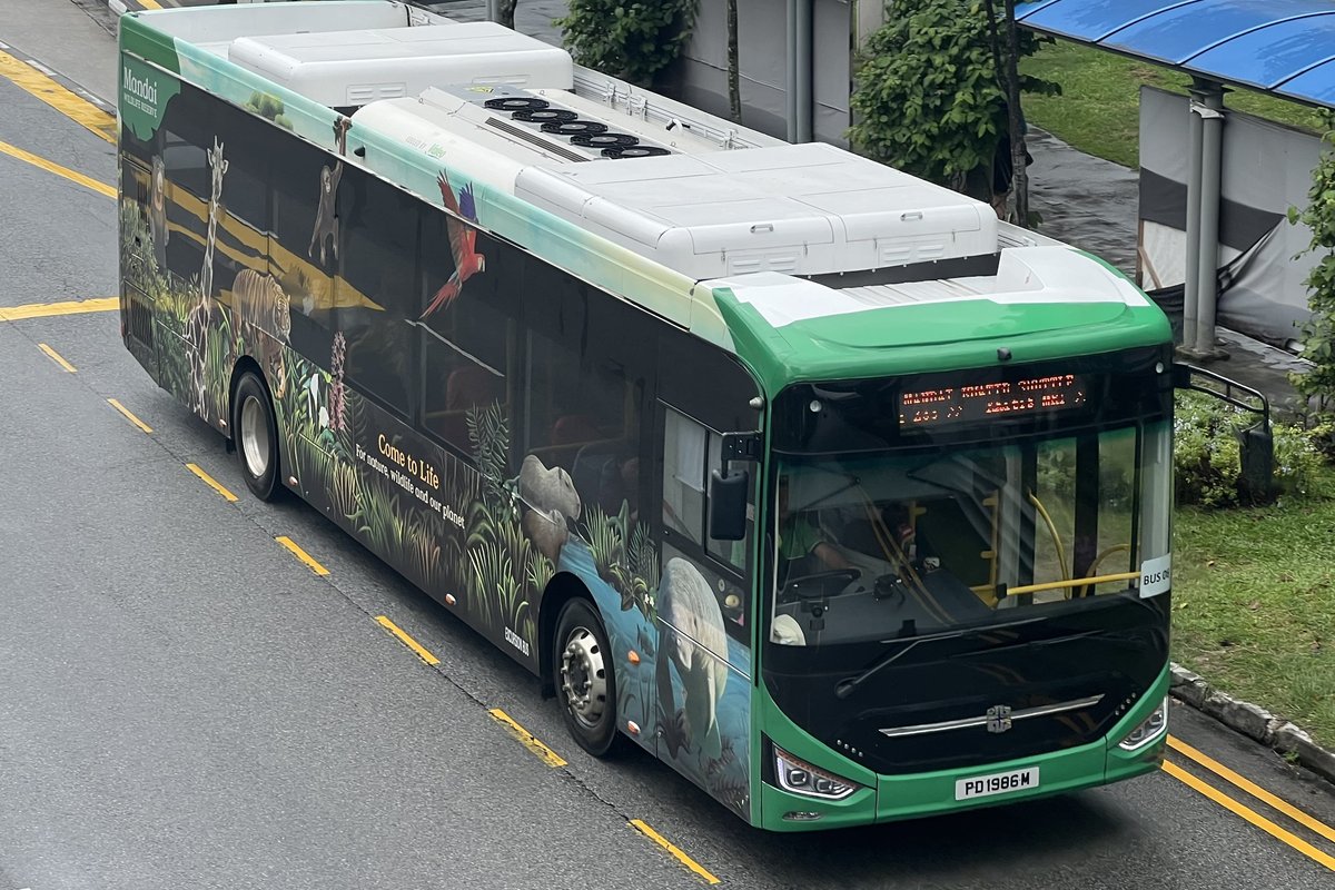 Singapore Zoo Ticket Price for Tourists, Timings and Park-Hopper Options Green Mandai Khatib Shuttle bus with wildlife artwork on its side, running on a road in Singapore