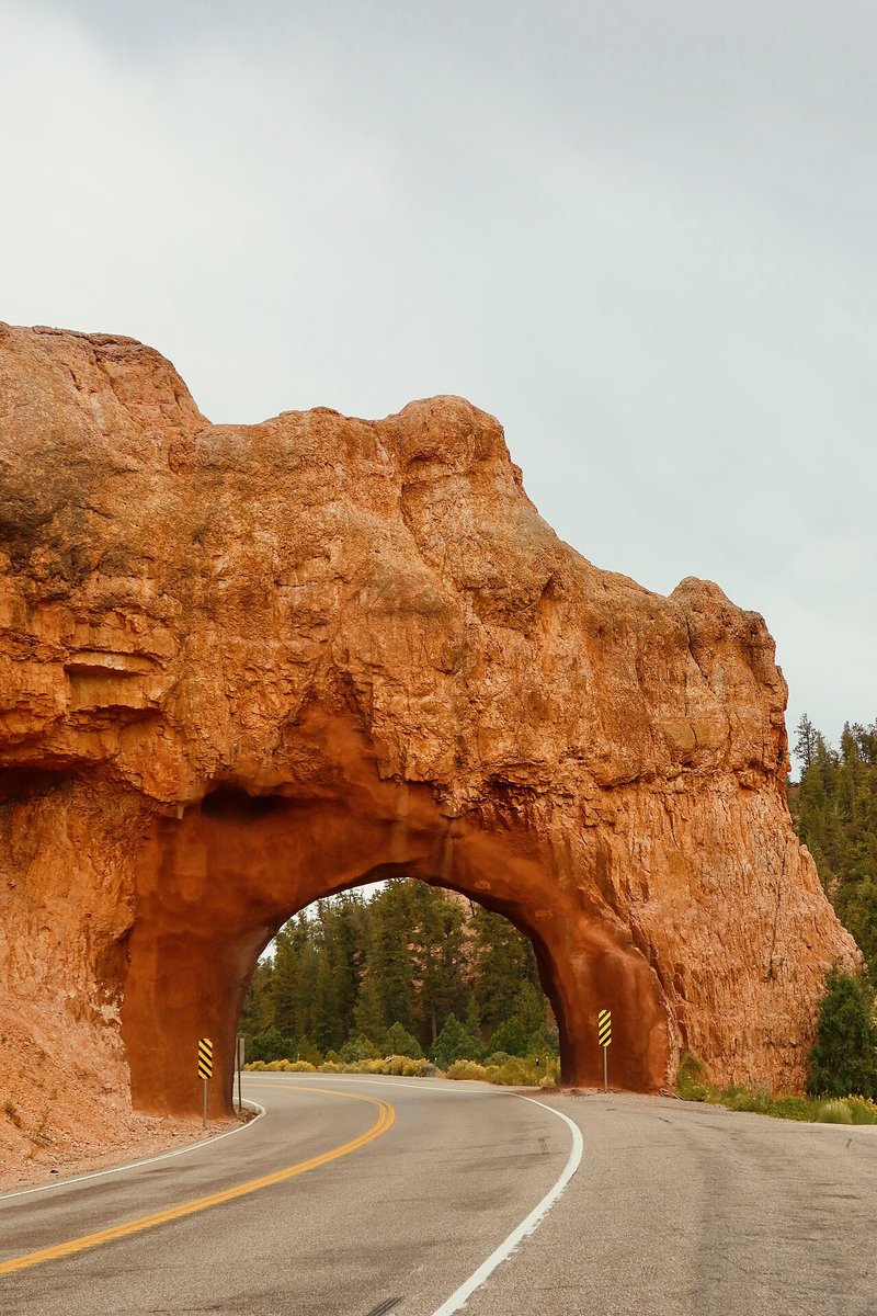 Two-lane Utah State Route 12 passing through an orange rock arch tunnel in Red Canyon, with pine trees beyond