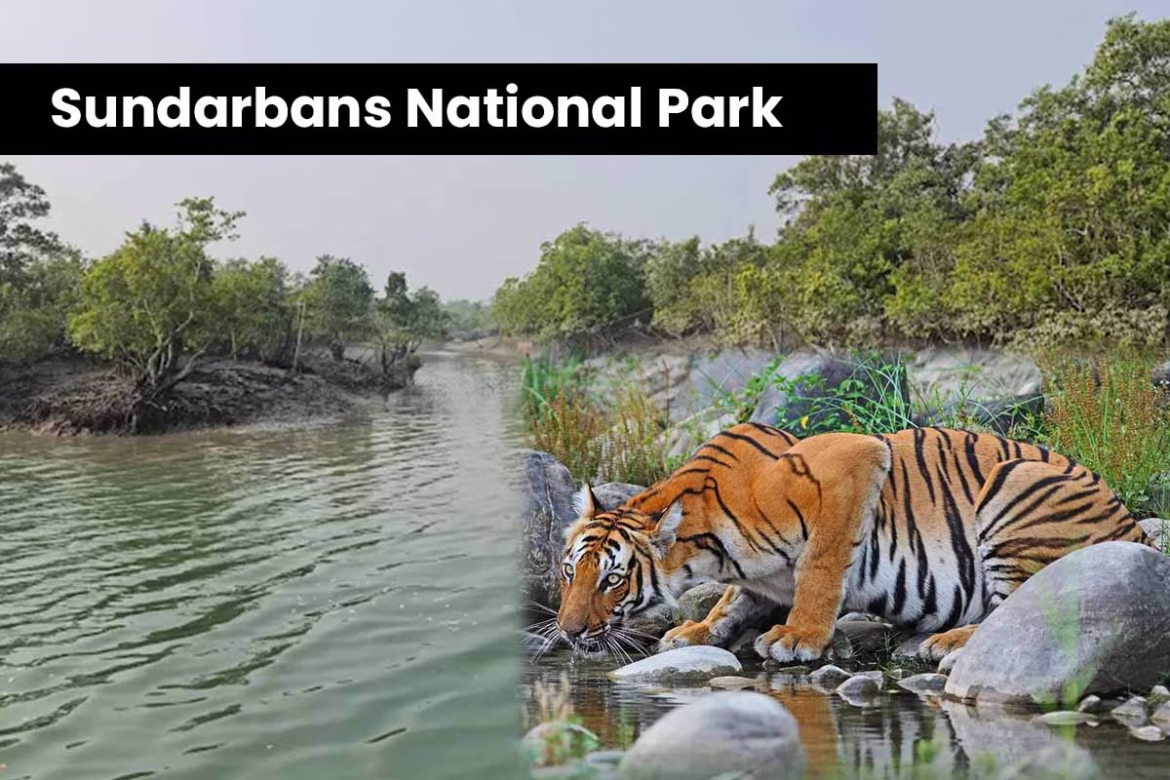 sundarbans national park