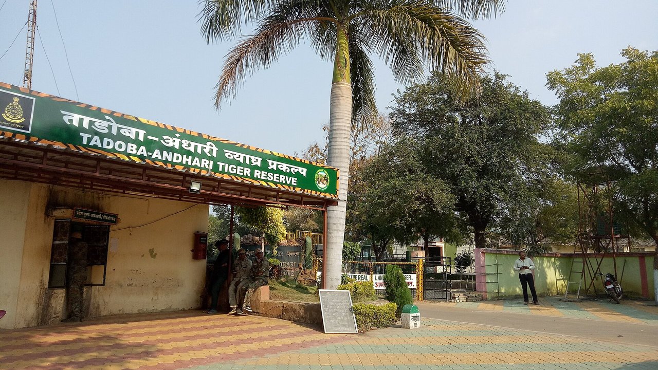 Tadoba Safari Booking Price: Gypsy Cost per Vehicle and per Person, Core vs Buffer Reception building at the Moharli gate of Tadoba-Andhari Tiger Reserve, with a green Tadoba Andhari Tiger Reserve sign and a palm tree