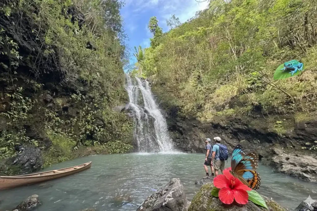 waimano falls pillbox side trail