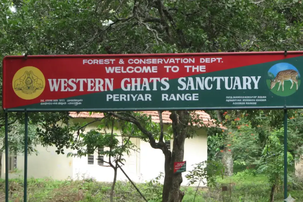 Best Hill Stations in South India: A Complete Guide for Indian Travelers Wayanad: Wildlife Wonderland